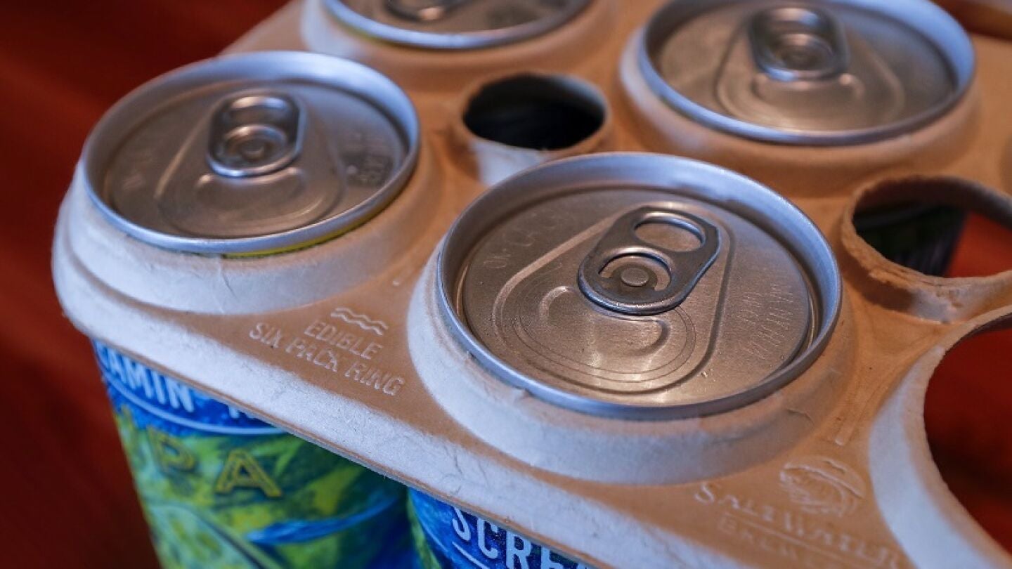 Empaquetado biodegradable para reducir los residuos pl&aacute;sticos