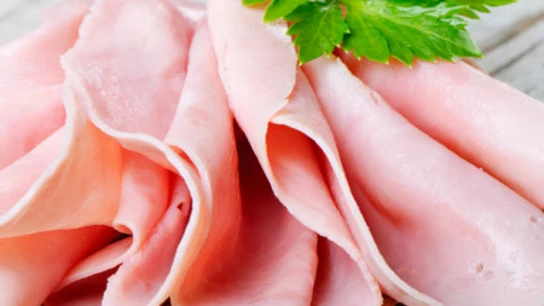 Loncha de pechuga de pavo Loncha de pechuga de pavo