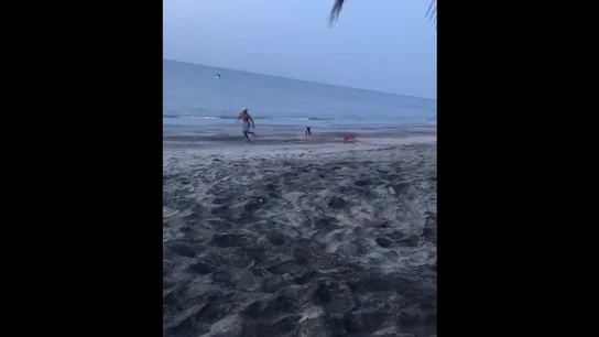 Frame 6.804714 de: Intenta dar una patada a un perro y una manada se abalanza sobre él para defenderlo Frame 6.804714 de: Intenta dar una patada a un perro y una manada se abalanza sobre él para defenderlo
