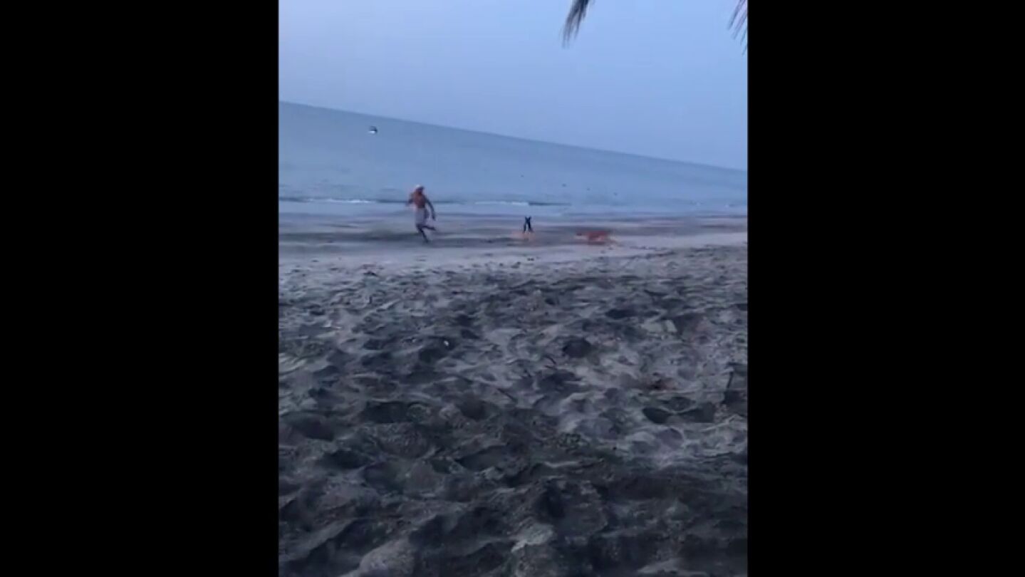Frame 6.804714 de: Intenta dar una patada a un perro y una manada se abalanza sobre &eacute;l para defenderlo