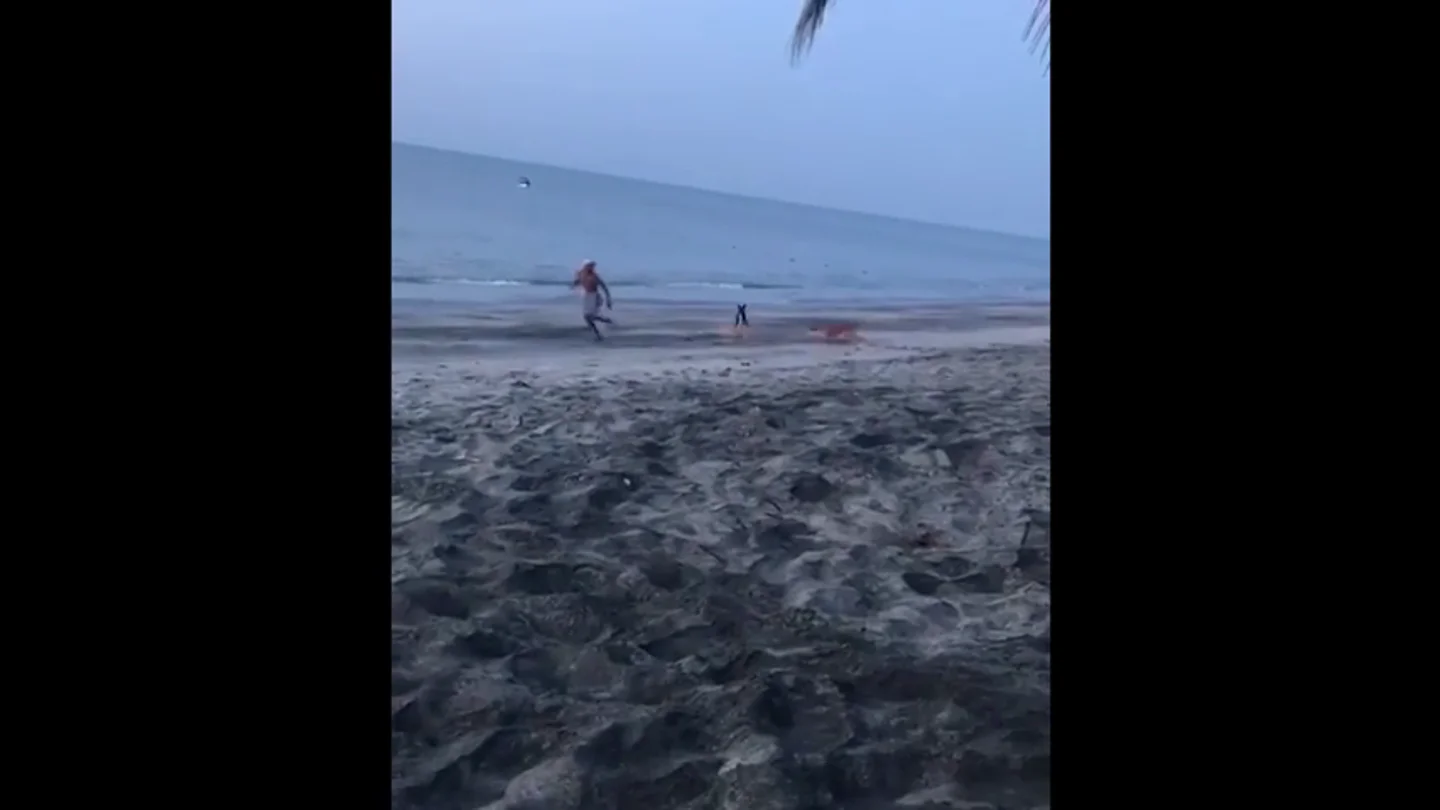 Frame 6.804714 de: Intenta dar una patada a un perro y una manada se abalanza sobre él para defenderlo Frame 6.804714 de: Intenta dar una patada a un perro y una manada se abalanza sobre él para defenderlo