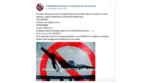 Grupos de ayuda a las víctimas #AntiSiniyKit activos en la red VKontakte Grupos de ayuda a las víctimas #AntiSiniyKit activos en la red VKontakte