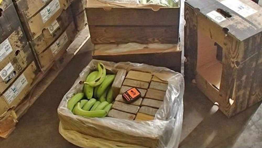 Alijo de droga junto a un cargamento de plátanos