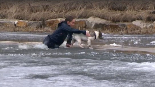 Un joven canadiense salvando a su perro