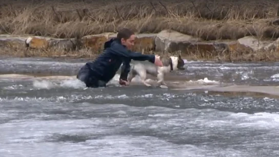 Un joven canadiense salvando a su perro Un joven canadiense salvando a su perro