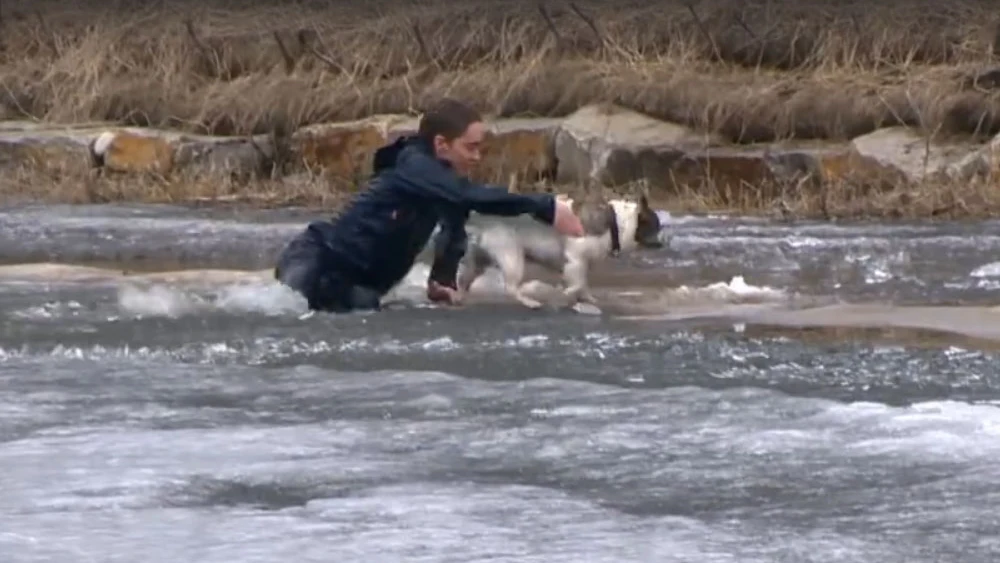 Un joven canadiense salvando a su perro