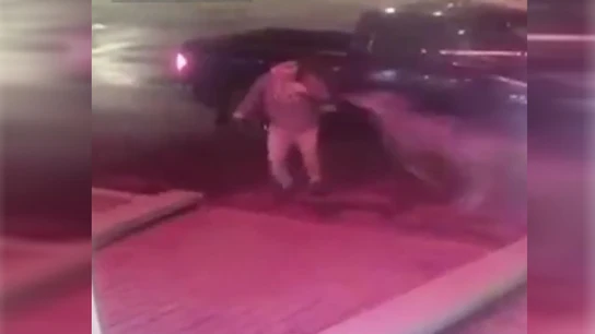 Un ciervo impacta contra un hombre en Canadá Un ciervo impacta contra un hombre en Canadá