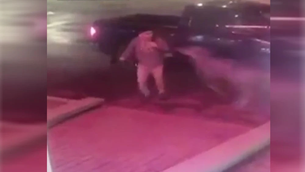 Un ciervo impacta contra un hombre en Canadá Un ciervo impacta contra un hombre en Canadá