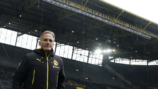 Watzke en el Signal Iduna Park Watzke en el Signal Iduna Park