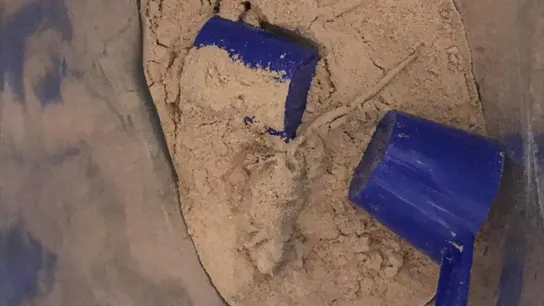 El ratón hallado en la bolsa de polvos de proteínas El ratón hallado en la bolsa de polvos de proteínas