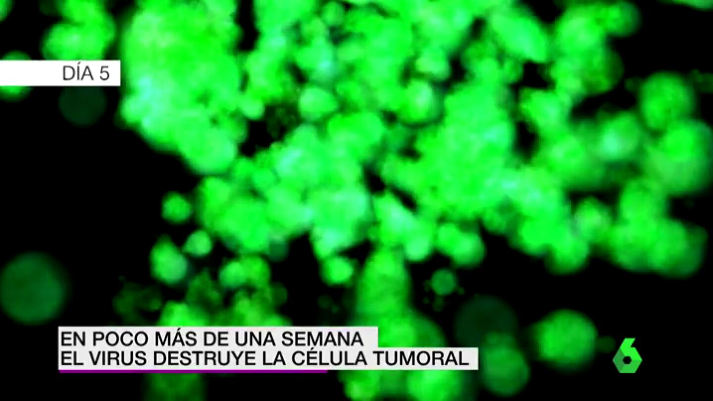 Frame 7.450573 de: C&Atilde;NCER