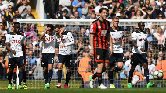 Janssen celebra su gol ante el Bournemouth Janssen celebra su gol ante el Bournemouth
