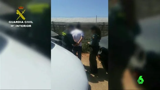 Hombre detenido por maltratar a sus perros Hombre detenido por maltratar a sus perros