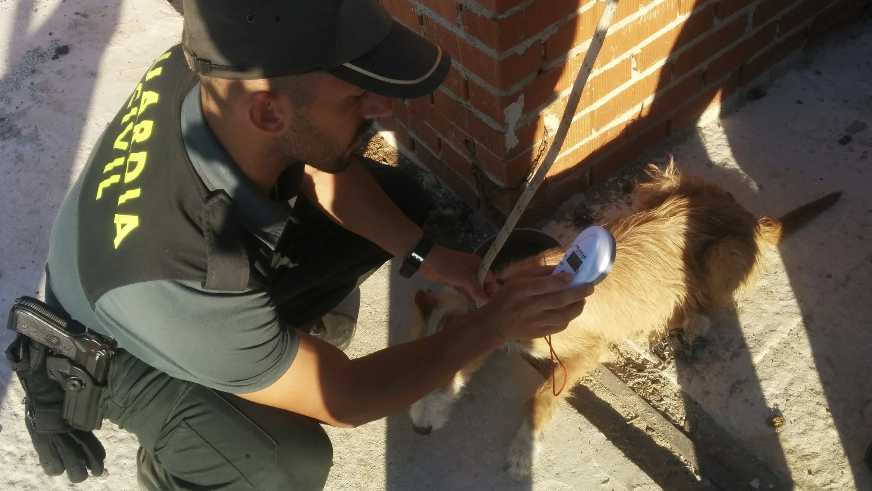 La Guardia Civil junto a un perro tras la denuncia a un propietario por un supuesto delito de maltrato animal