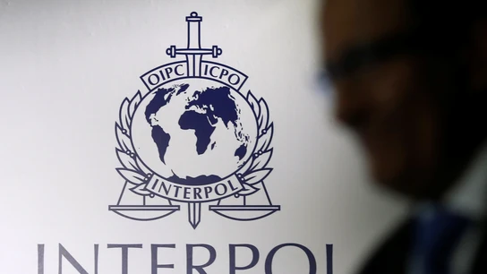 Interpol Interpol