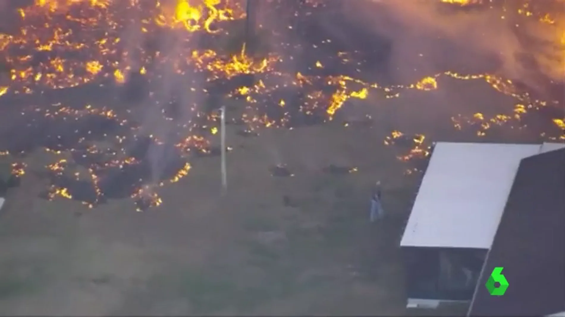 Frame 2.062224 de: Florida enfrenta más de 8.000 hectáreas calcinadas y 110 incendios activos 