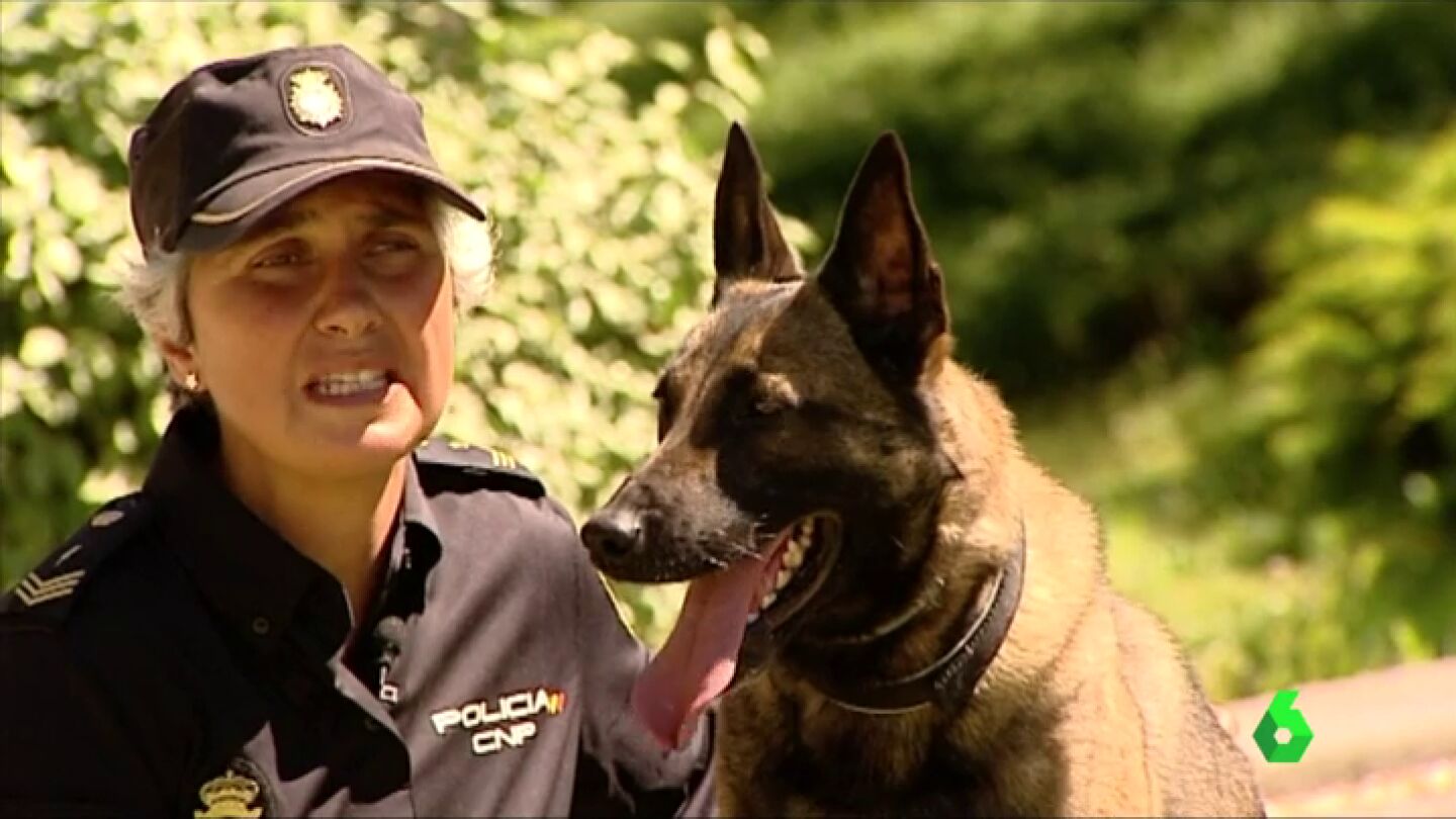 La Polic&iacute;a Nacional cuenta con 500 perros adiestrados para encontrar dinero