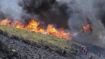 Controlan el incendio que ha arrasado 2.000 hectáreas en Ponferrada, León
