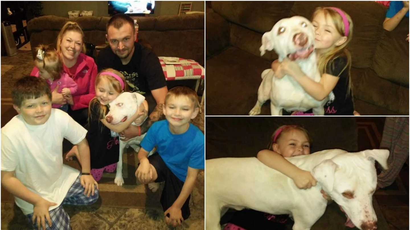 La familia vuelve a sonreír después de encontrar a su perro, que llevaba dos días desaparecido La familia vuelve a sonreír después de encontrar a su perro, que llevaba dos días desaparecido