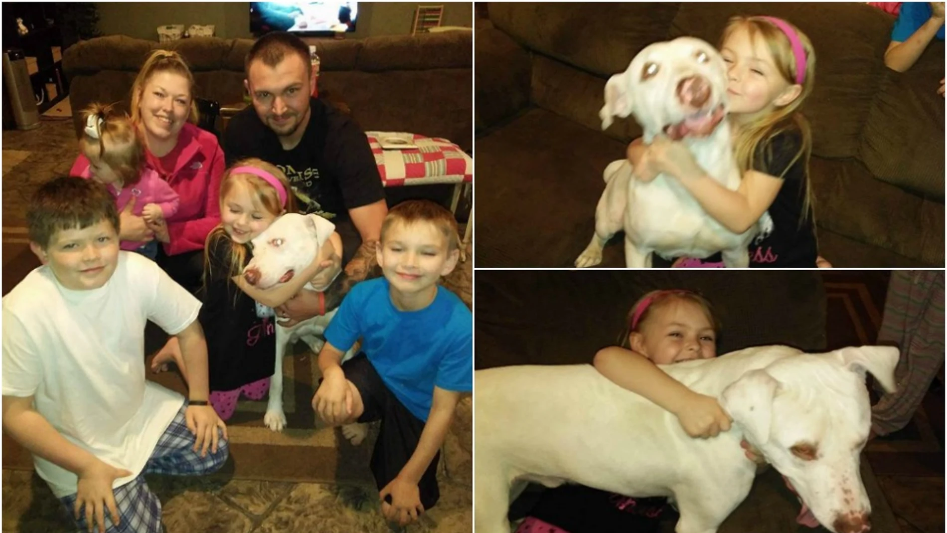 La familia vuelve a sonreír después de encontrar a su perro, que llevaba dos días desaparecido