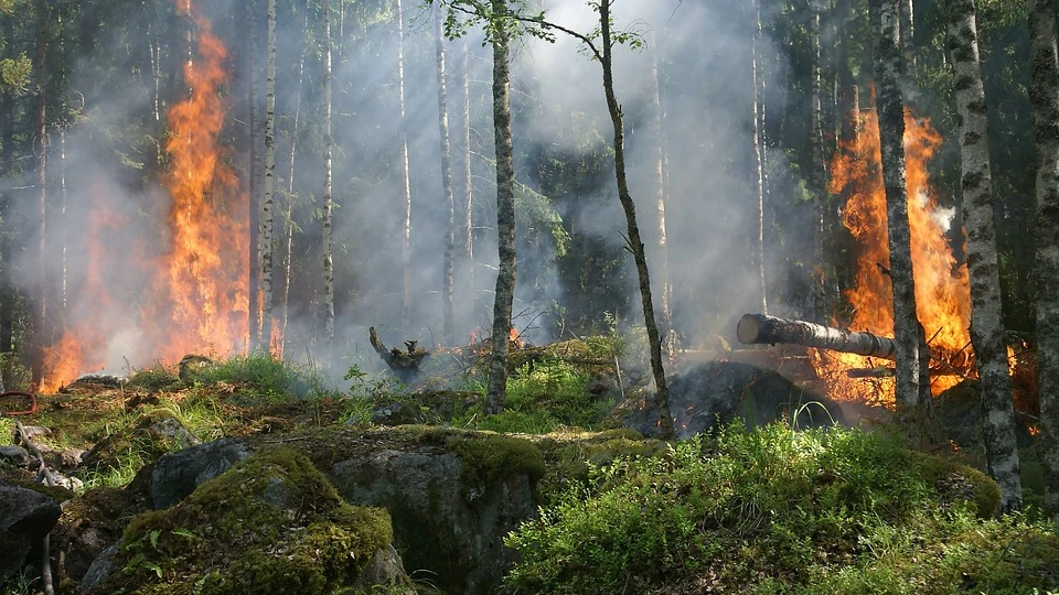 Incendio en Asturias