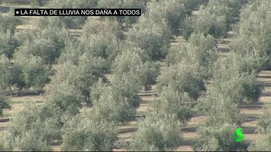 Frame 31.944558 de: sequia Frame 31.944558 de: sequia