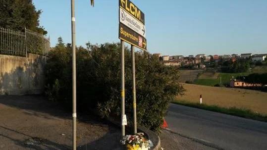 El loro que solía acompañar a Scarponi en sus entrenamientos El loro que solía acompañar a Scarponi en sus entrenamientos