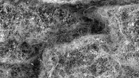 Moco sintético Moco sintético