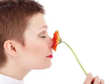 Los hiperósmicos son capaces de distinguir el olor de una flor entre la basura Los hiperósmicos son capaces de distinguir el olor de una flor entre la basura