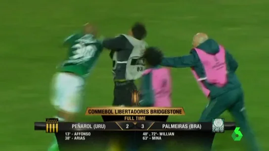 Felipe Melo suelta un puñetazo Felipe Melo suelta un puñetazo