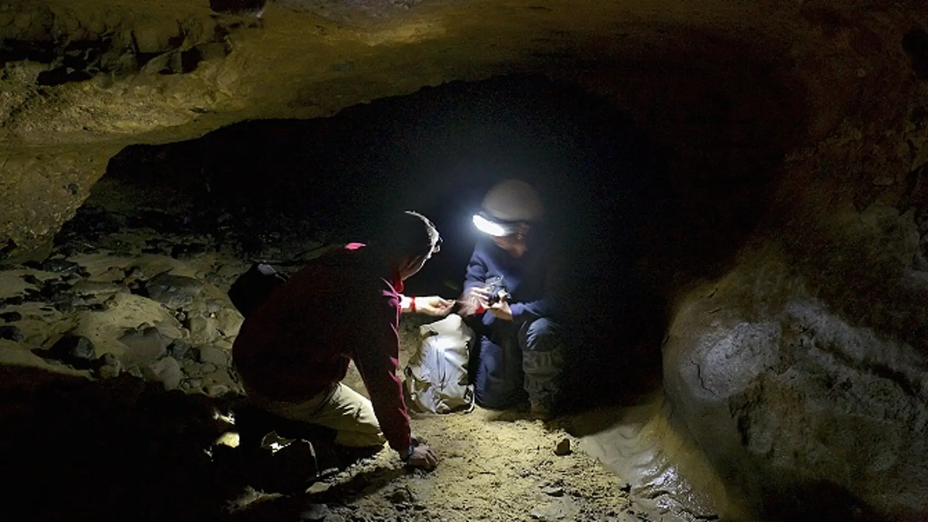 Logran extraer ADN neandertal en una cueva sin restos oseos