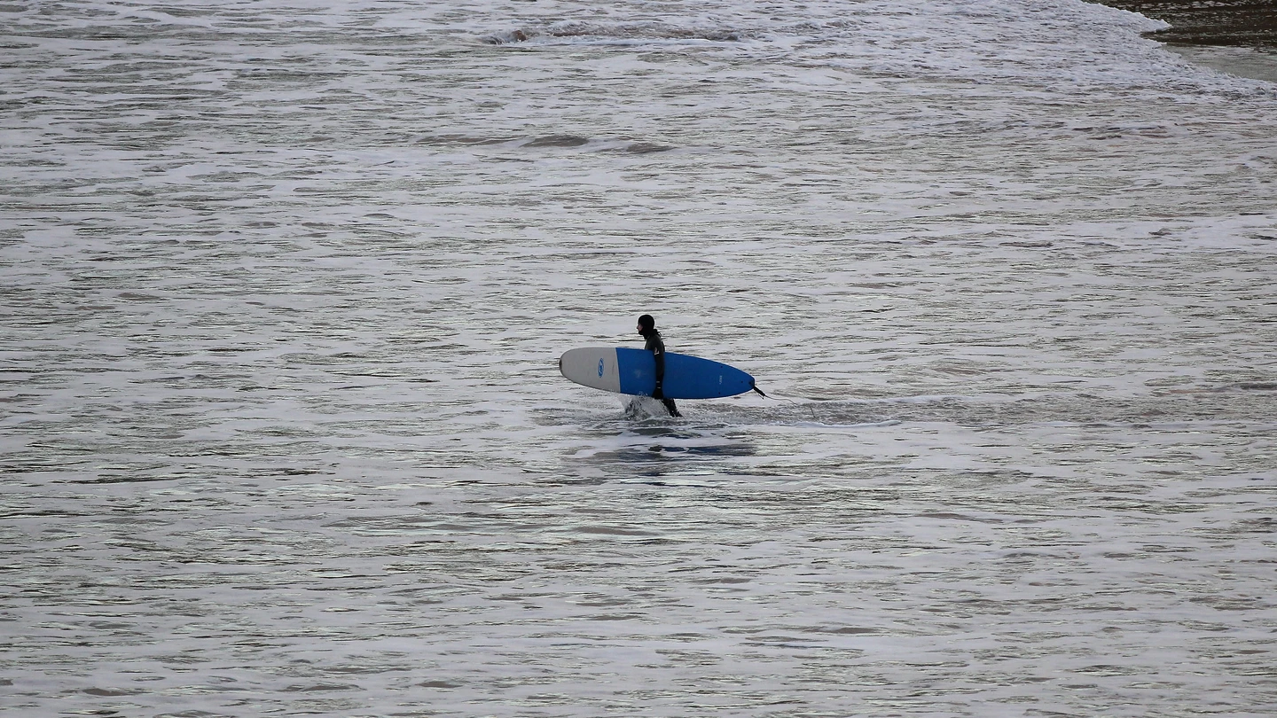 Un surfista, en Coldingham Bay Un surfista, en Coldingham Bay