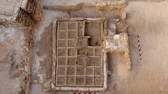 Arqueólogos españoles desentierran en Egipto un jardín funerario único de 4.000 años AÚN SE CONSERVA LA RAÍZ DE UN ÁRBOL
