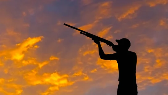 Fallece un hombre tras recibir un disparo de su compañero de caza Fallece un hombre tras recibir un disparo de su compañero de caza