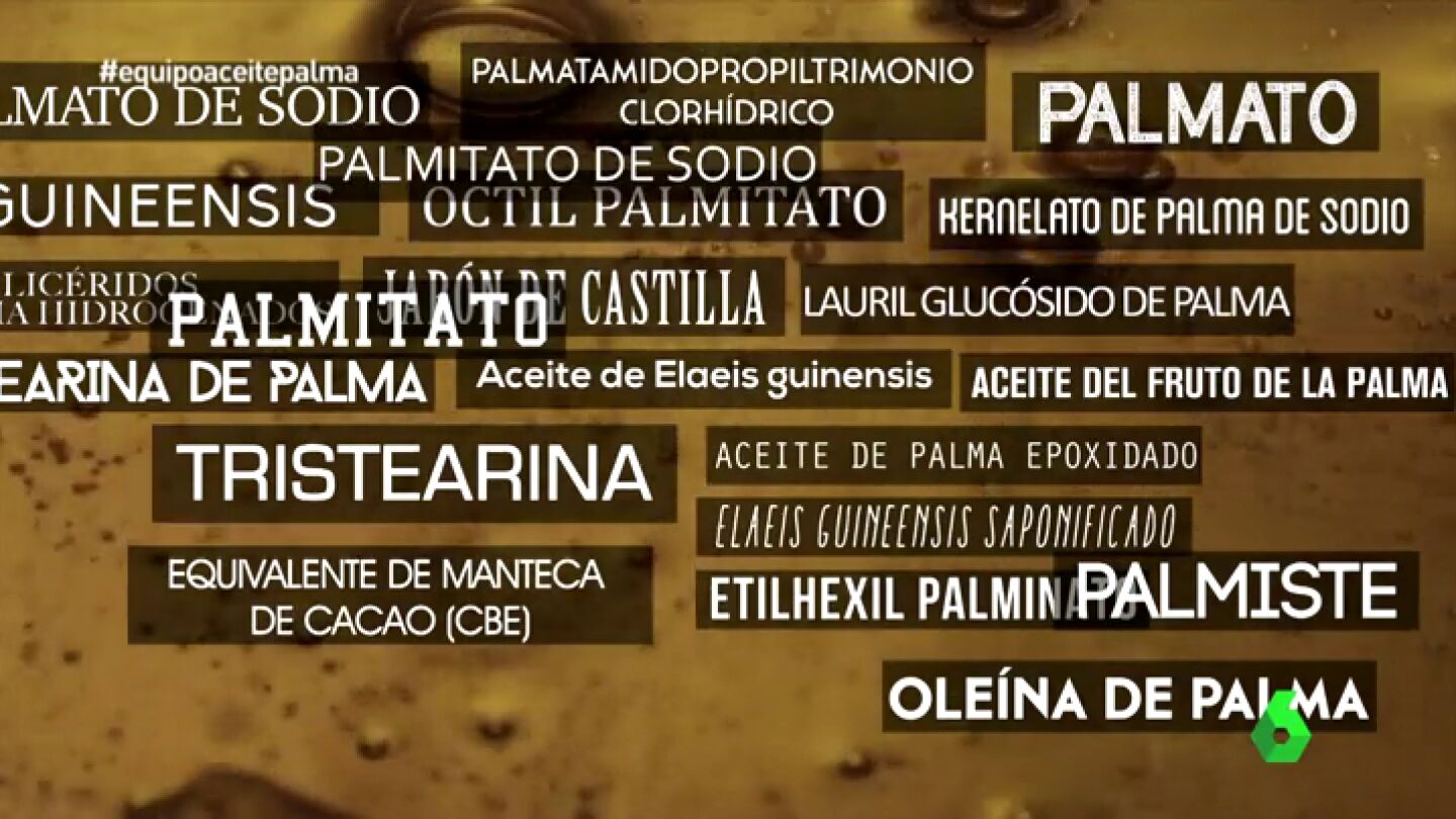 T&eacute;rminos que significa aceite de palma