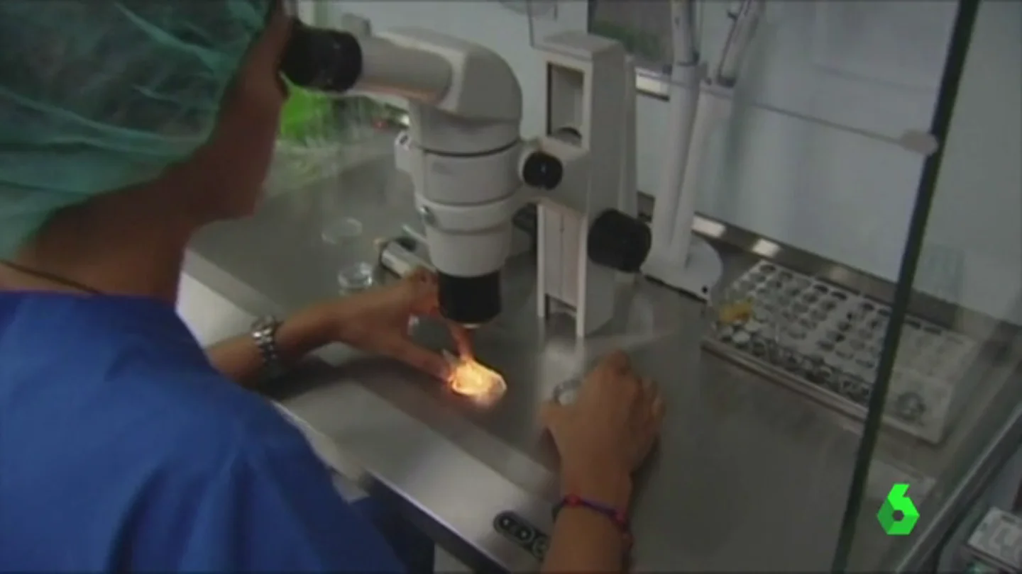 Los grandes retos de los expertos en medicina: el rejuvenecimiento ovárico, la inmunología y la preservación de la fertilidad Los grandes retos de los expertos en medicina: el rejuvenecimiento ovárico, la inmunología y la preservación de la fertilidad