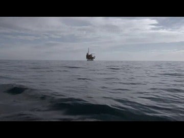 Plataforma Castor Plataforma Castor