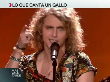 Manel Navarro Manel Navarro
