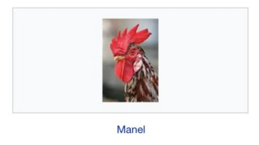 Trolean la página de Manel Navarro en Wikipedia