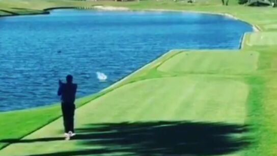 Un golfista amateur mata a un pato de forma accidental