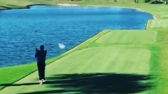 Un golfista amateur mata a un pato de forma accidental Un golfista amateur mata a un pato de forma accidental