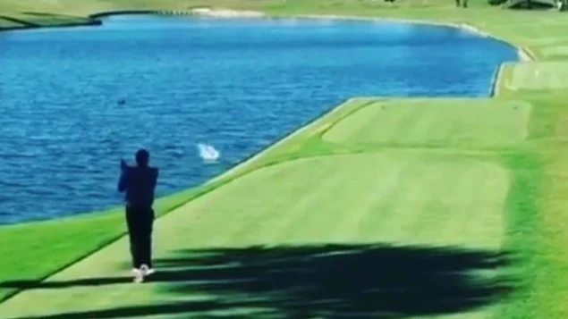 Un golfista amateur mata a un pato de forma accidental