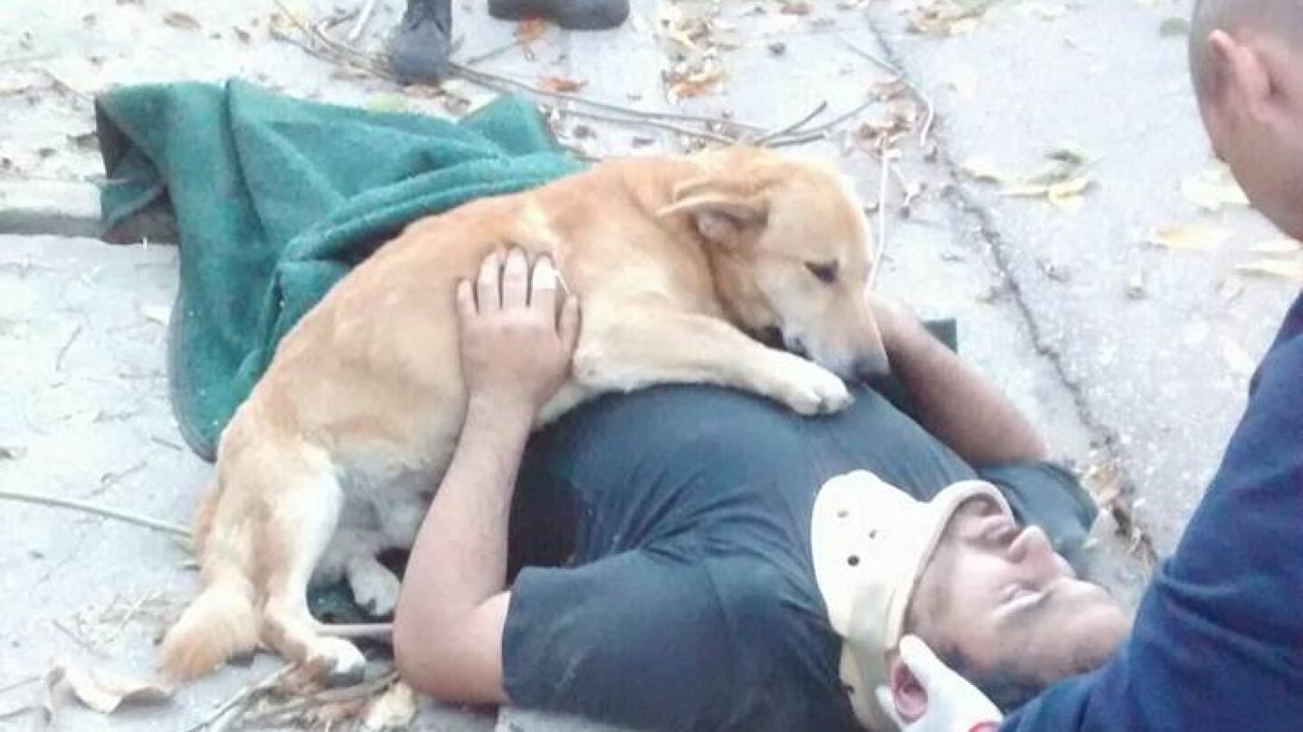Tony junto a su due&ntilde;o tras el accidente