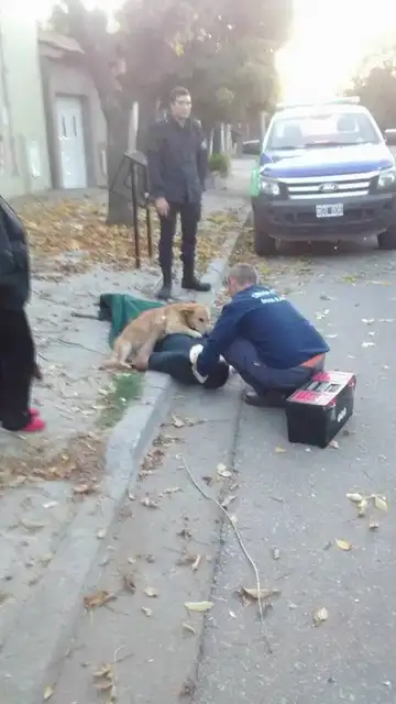 Perro con su dueño Perro con su dueño