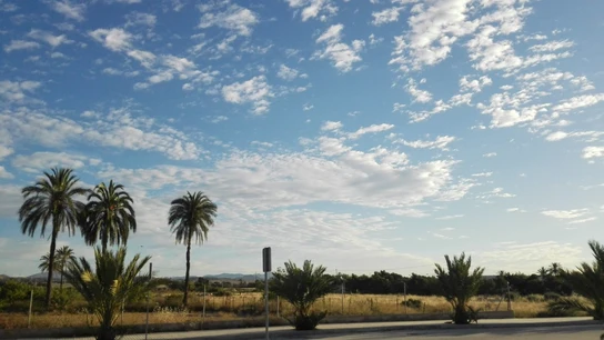 Las temperaturas primaverales continuan predominando en Elche. Tiempo