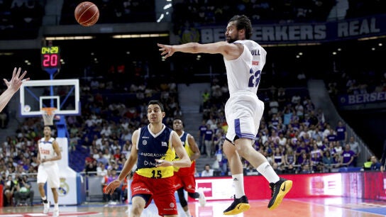 Sergio Llull en un partido con el Real Madrid