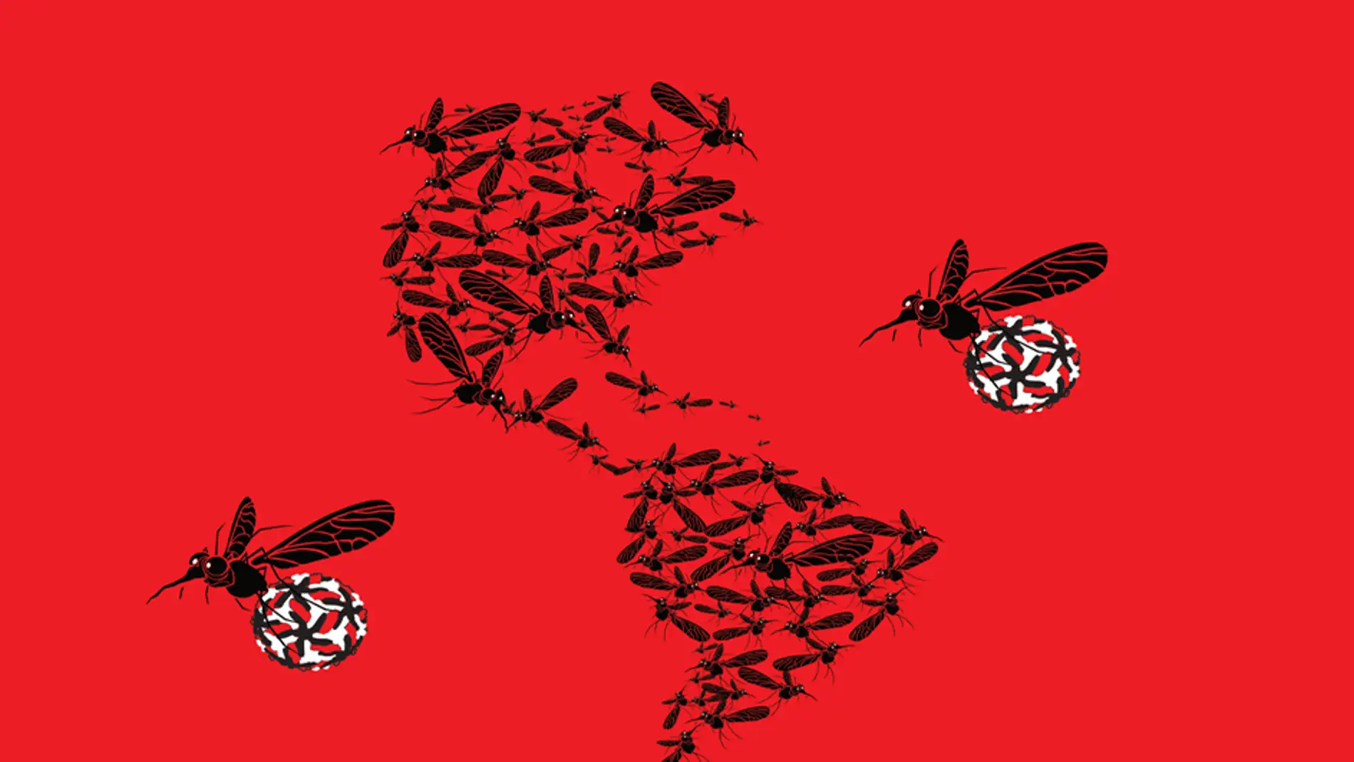 El zika pudo circular por America mucho antes de su deteccion en 2015