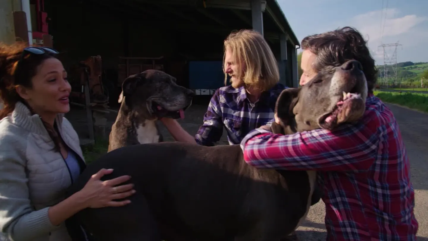El conmoverdor reencuentro de Los Hygge con los padres biológicos de sus perritas El conmoverdor reencuentro de Los Hygge con los padres biológicos de sus perritas