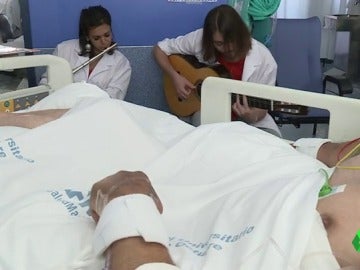 Músicos de Música en Vena participando en el proyecto Músicos de Música en Vena participando en el proyecto