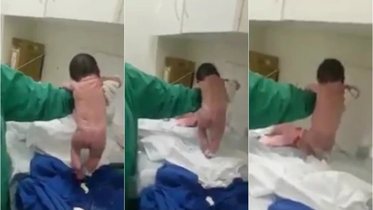 El bebé dando sus primeros pasos El bebé dando sus primeros pasos